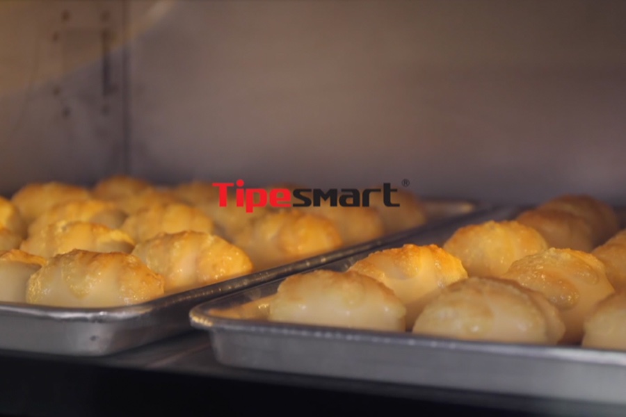 Features of the convection oven